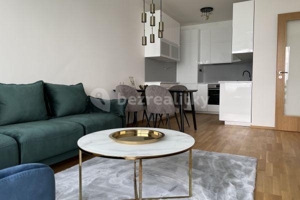 1 bedroom with open-plan kitchen flat to rent, 60 m², Argentinská, Praha