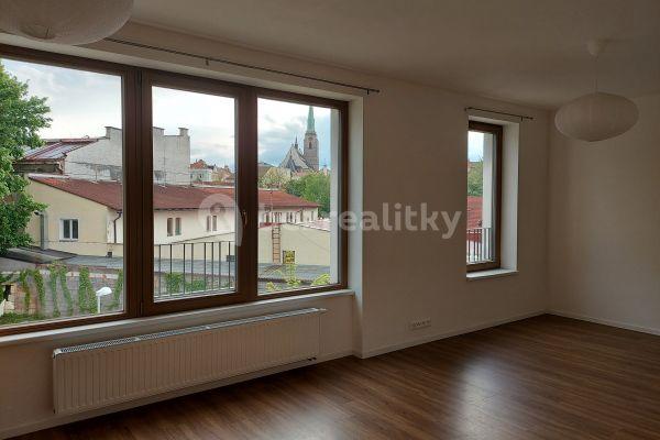 Studio flat to rent, 32 m², Pallova, Plzeň