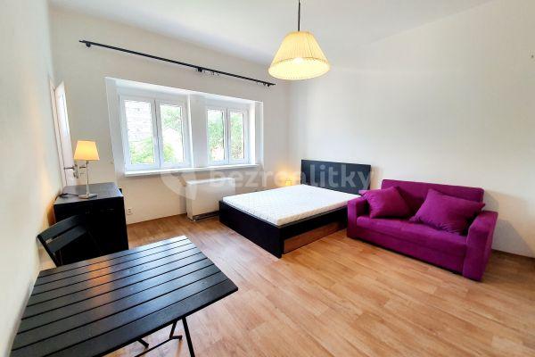 Small studio flat to rent, 32 m², V Olšinách, Hlavní město Praha