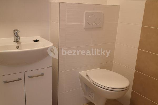 1 bedroom with open-plan kitchen flat to rent, 42 m², Maříkova, Brno