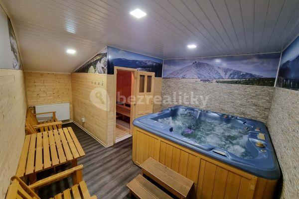 recreational property to rent, 0 m², Černý Důl