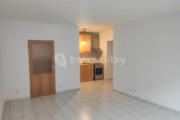 1 bedroom with open-plan kitchen flat to rent, 57 m², Bratří Dohalských, Hlavní město Praha