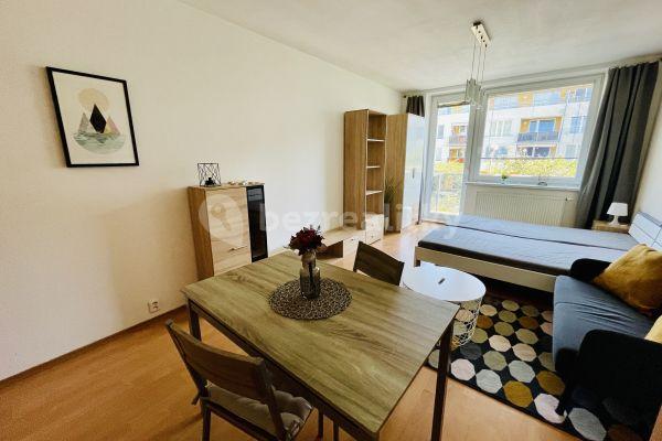 Studio flat to rent, 34 m², V Újezdech, Brno