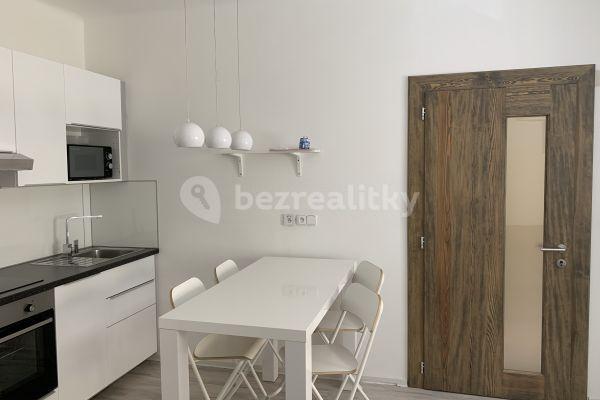 1 bedroom with open-plan kitchen flat to rent, 49 m², Bořivojova, Hlavní město Praha