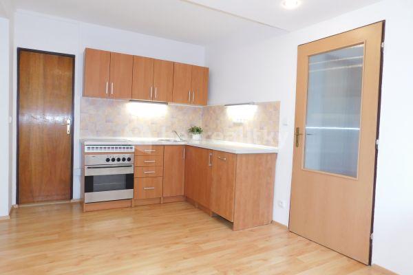 1 bedroom with open-plan kitchen flat to rent, 40 m², Karlovarská, 