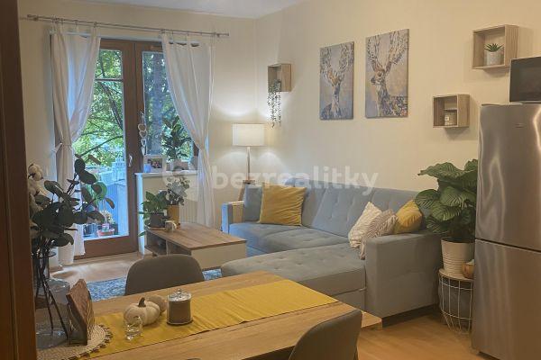 1 bedroom with open-plan kitchen flat to rent, 55 m², Vladycká, Hlavní město Praha