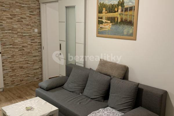 1 bedroom with open-plan kitchen flat to rent, 45 m², Teplická, Praha