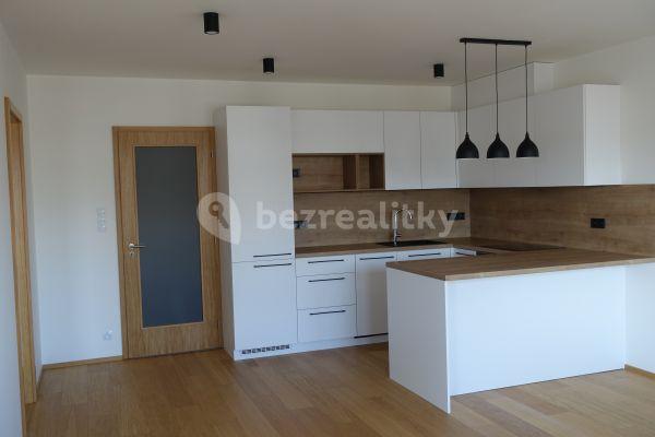 1 bedroom with open-plan kitchen flat to rent, 55 m², U Traktorky, Hlavní město Praha