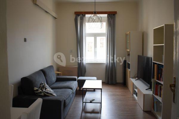 1 bedroom with open-plan kitchen flat to rent, 43 m², Rostislavova, Hlavní město Praha