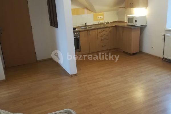 1 bedroom with open-plan kitchen flat to rent, 42 m², K Vyhlídce, Praha