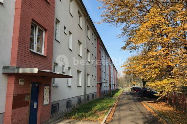 1 bedroom with open-plan kitchen flat to rent, 41 m², Řecká, 