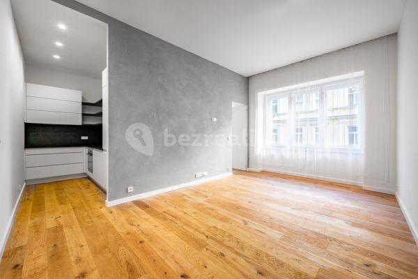 1 bedroom with open-plan kitchen flat to rent, 62 m², Římská, Praha