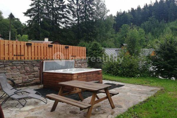 recreational property to rent, 0 m², Říčky v Orlických horách