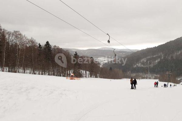 recreational property to rent, 0 m², Vernířovice