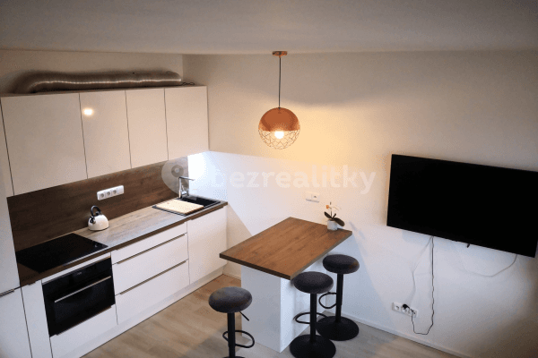 1 bedroom with open-plan kitchen flat to rent, 37 m², Molákova, Praha