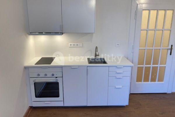 1 bedroom with open-plan kitchen flat to rent, 50 m², Na Střelnici, Hlavní město Praha