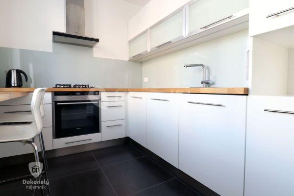 1 bedroom with open-plan kitchen flat to rent, 53 m², Pod lipami, 