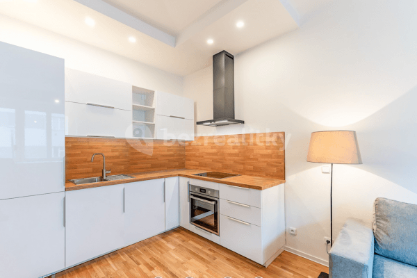 1 bedroom with open-plan kitchen flat to rent, 53 m², Lucemburská, Prague