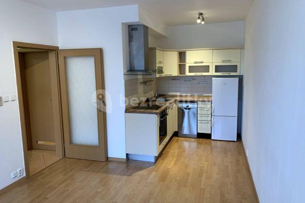 1 bedroom with open-plan kitchen flat to rent, 48 m², Budapešťská, Hlavní město Praha