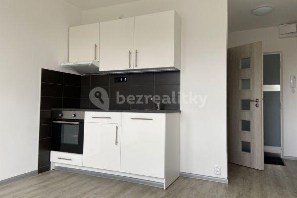 1 bedroom with open-plan kitchen flat to rent, 36 m², Sadová, Nový Bor