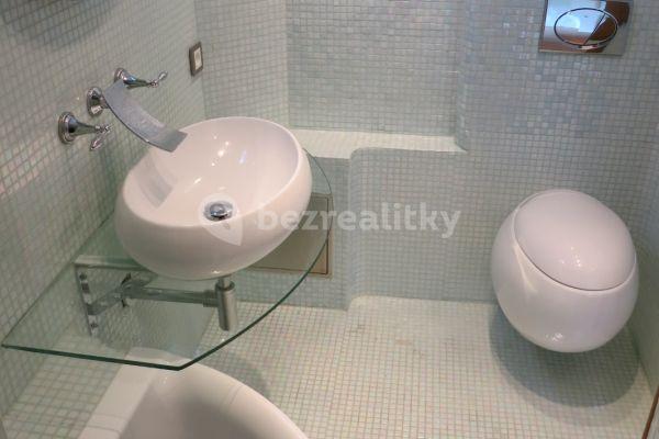 1 bedroom with open-plan kitchen flat to rent, 35 m², Nad Kesnerkou, Praha