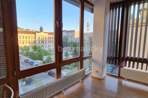 1 bedroom with open-plan kitchen flat to rent, 54 m², Lukášova, Praha