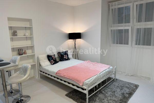 Studio flat to rent, 25 m², Pod Zvonařkou, Praha