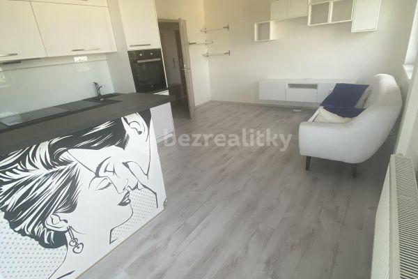 1 bedroom with open-plan kitchen flat to rent, 48 m², Záveská, Praha