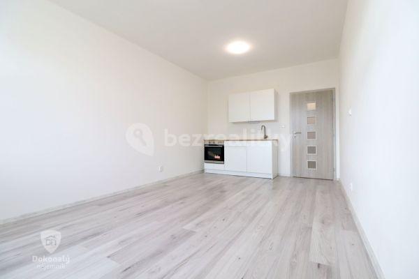 Studio flat to rent, 26 m², Slepá, Milovice, Středočeský Region