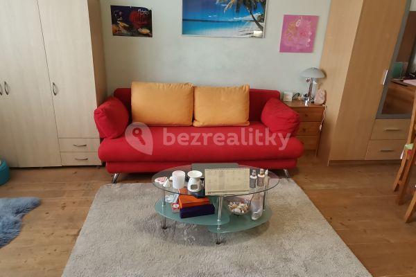 Studio flat to rent, 37 m², Na Maninách, Praha