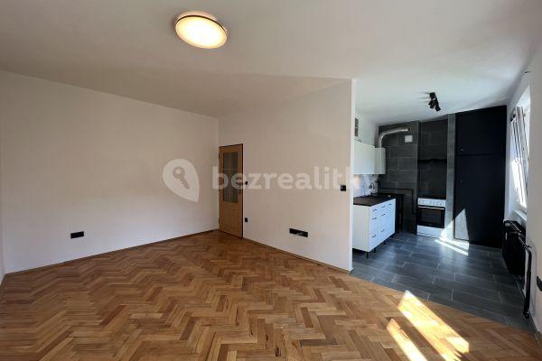 1 bedroom with open-plan kitchen flat to rent, 56 m², Marie Pujmanové, 