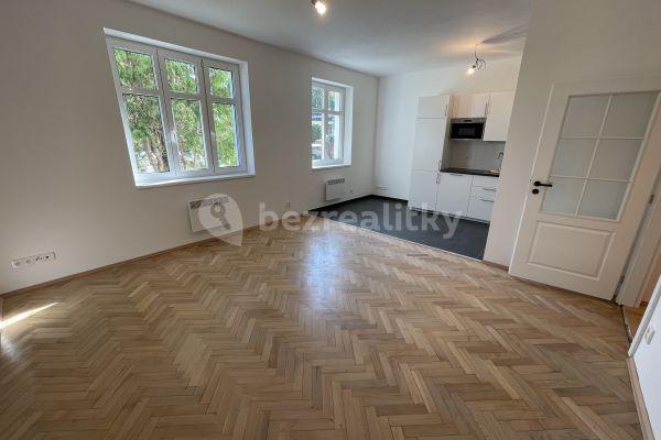 1 bedroom with open-plan kitchen flat to rent, 52 m², Na Pláni, Praha