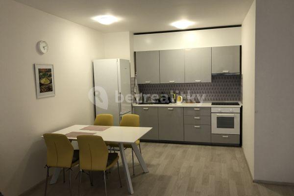 1 bedroom with open-plan kitchen flat to rent, 55 m², U Mlýnského kanálu, Praha