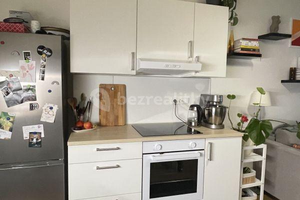 1 bedroom with open-plan kitchen flat to rent, 45 m², Na Dolinách, Praha