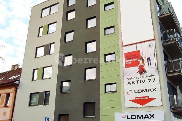 1 bedroom with open-plan kitchen flat to rent, 50 m², Železničního pluku, Pardubice