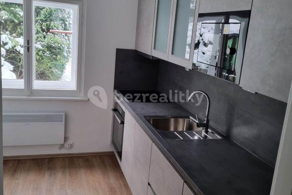 1 bedroom flat to rent, 33 m², Kounická, Praha