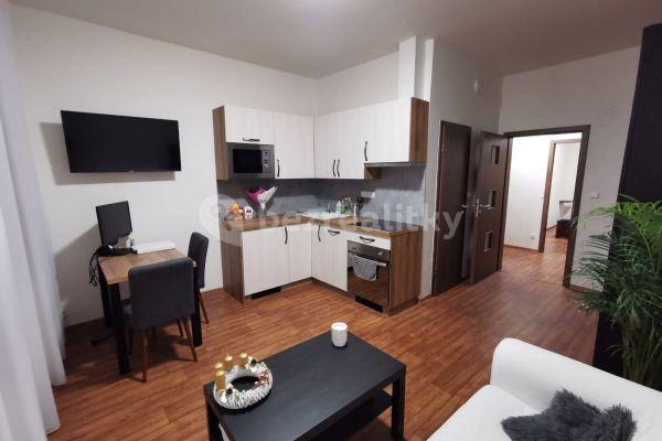 1 bedroom with open-plan kitchen flat to rent, 35 m², Otakarova, České Budějovice, Jihočeský Region