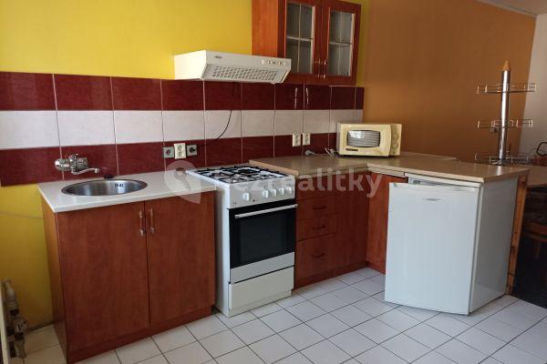 Studio flat to rent, 32 m², Záryby