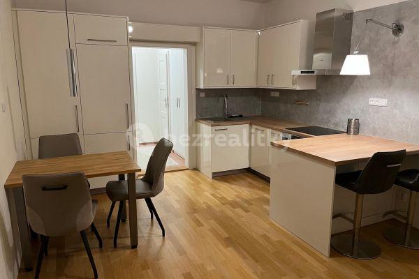 1 bedroom with open-plan kitchen flat to rent, 47 m², Kouřimská, Praha