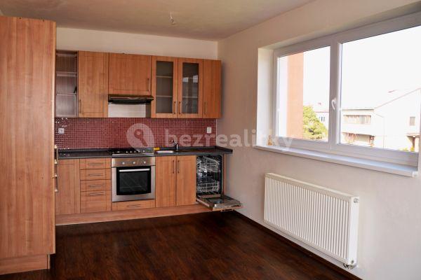 1 bedroom with open-plan kitchen flat to rent, 53 m², Za Kaštany, Plzeň