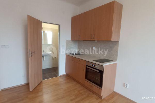 1 bedroom with open-plan kitchen flat to rent, 44 m², Pastrnkova, Brno