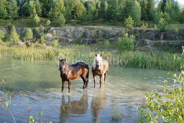 recreational property to rent, 0 m², Bzová, Bojkovice u Uherského Brodu