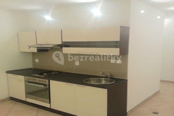 1 bedroom with open-plan kitchen flat to rent, 40 m², Na Borku, Jirkov