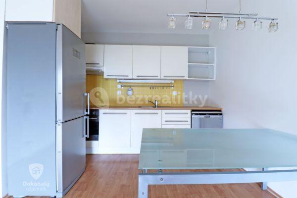1 bedroom with open-plan kitchen flat to rent, 44 m², B. Němcové, 