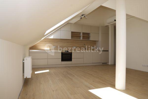 1 bedroom with open-plan kitchen flat to rent, 55 m², Šatrova, Praha