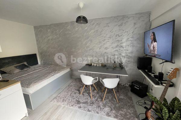 Studio flat to rent, 29 m², Na Rokytce, Praha