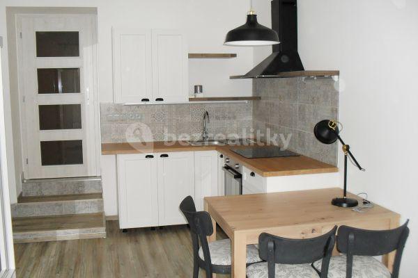 Small studio flat to rent, 28 m², Gorazdova, Brno