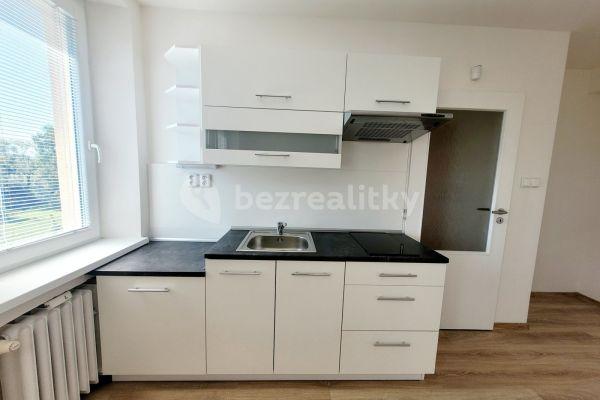 Studio flat to rent, 29 m², U Nádraží, 