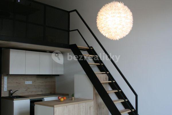 1 bedroom with open-plan kitchen flat to rent, 60 m², Ambrožova, Praha