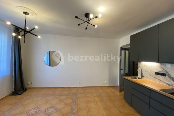 1 bedroom with open-plan kitchen flat to rent, 47 m², Radhošťská, Praha